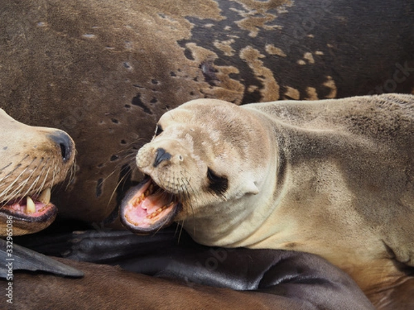 Obraz OLYMPUS DIGITAL CAMERA