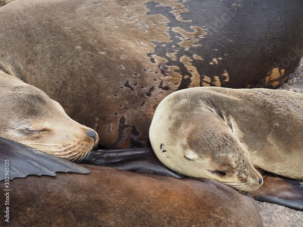 Obraz OLYMPUS DIGITAL CAMERA