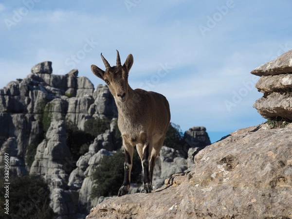 Obraz OLYMPUS DIGITAL CAMERA