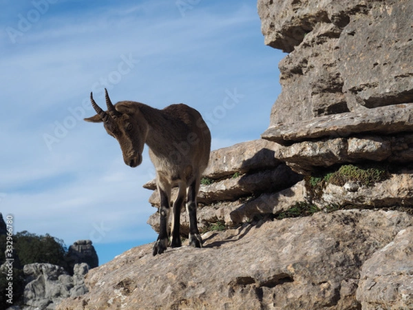 Obraz OLYMPUS DIGITAL CAMERA