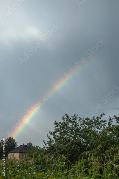 Obraz rainbow over the house