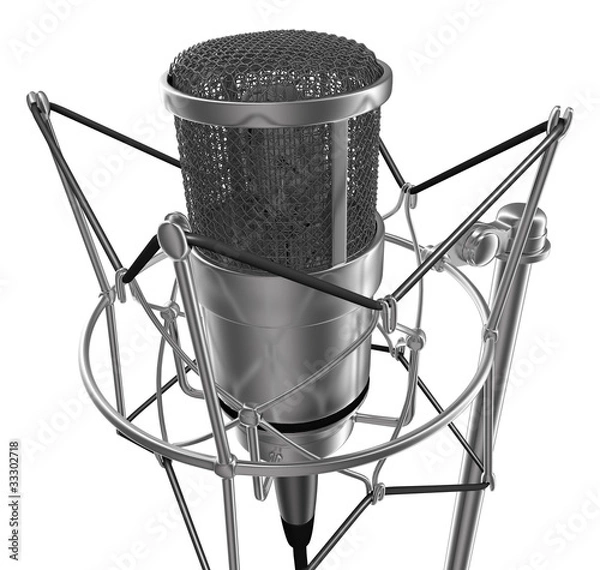 Obraz Mikrofon