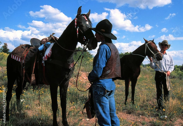 Obraz cowboys