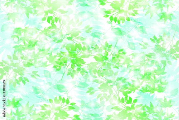 Fototapeta 新緑　葉　緑　背景