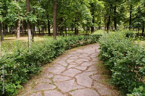 Obraz Каменная дорожка в парке отдыха