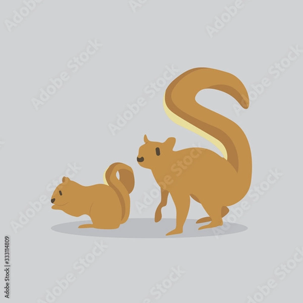 Fototapeta squirrel vector cartoon illustration. Cute friendly squirrel, isolated on grey. Pets, animals, squirrel theme design element in contemporary simple flat style