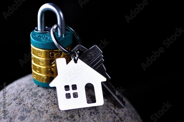 Obraz Protect Your House