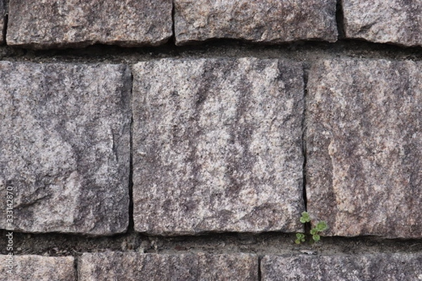 Fototapeta 河川沿いのコンクリートの壁