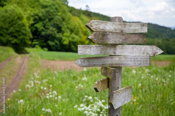 Fototapeta old weathered and mossy signpost with path and forest landscape in the blurred background