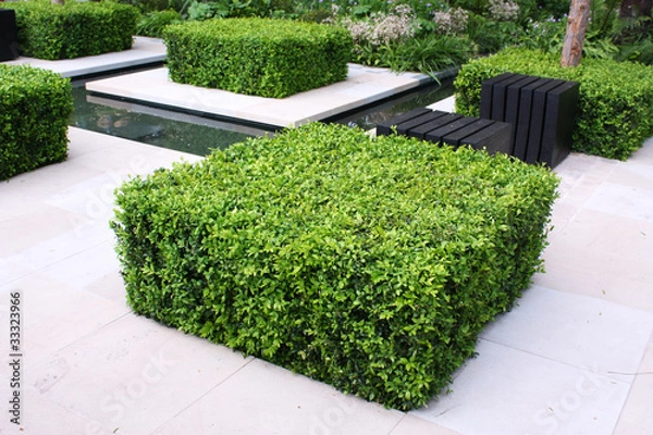 Obraz Zielony ogród