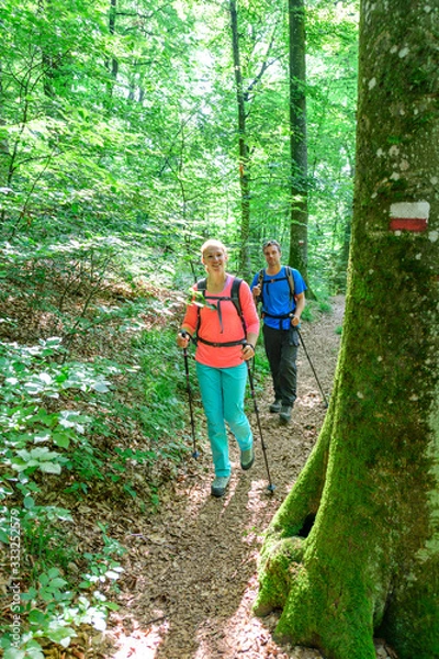 Fototapeta Auftanken bei einer Wald-Wanderung im Frühling