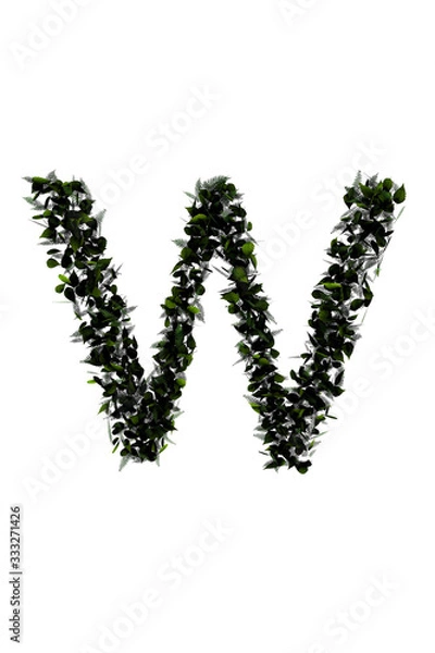 Fototapeta Letter W made of leaf isolated on white.made in 3d