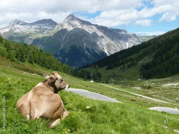 Obraz Mountain Pass Route - Switzerland
