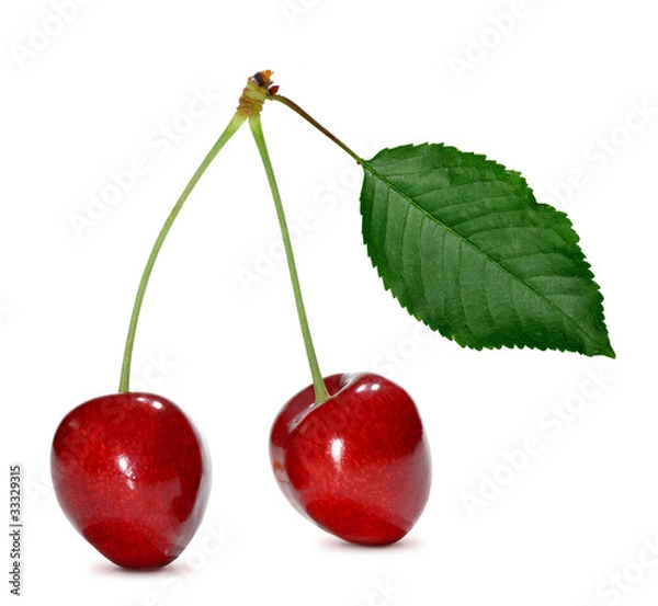 Fototapeta cherry isolated on white