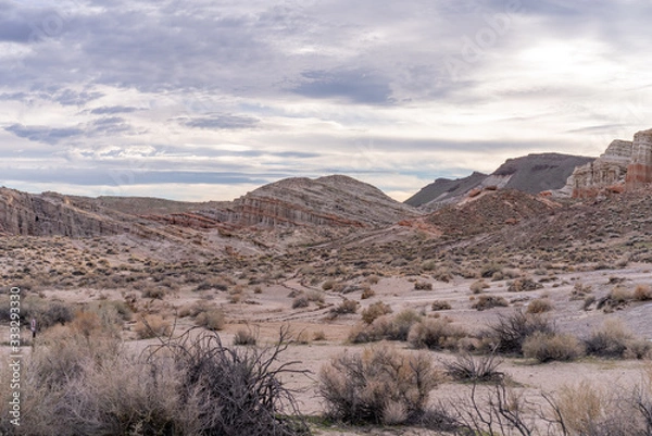 Obraz California Desert