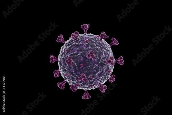 Obraz Corona virus COVID 19 microscope illustration. 3D render, black background