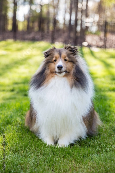 Fototapeta Spring has Sprung