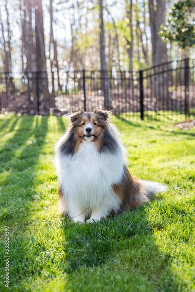 Fototapeta Spring has Sprung