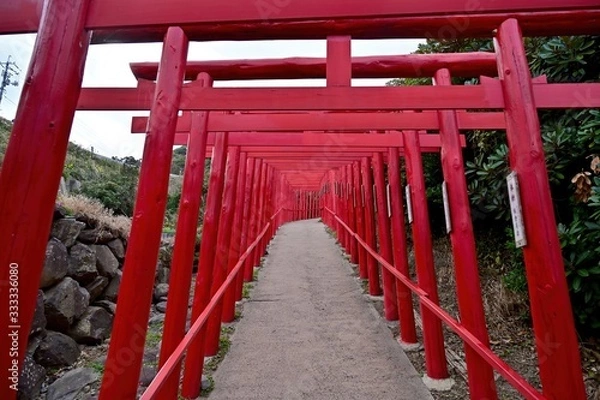 Fototapeta たくさんの鳥居のトンネルの情景＠山口