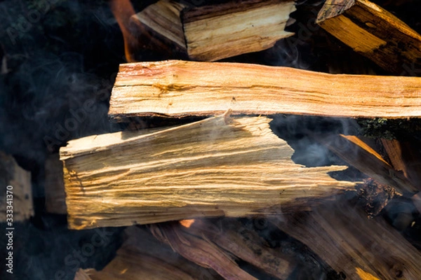 Obraz burning felled trees