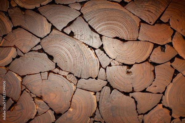 Obraz Cross-section teak wood.