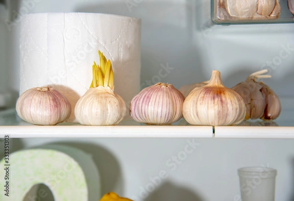 Fototapeta A supply of garlic and toilet paper in the refrigerator. A funny photo.
