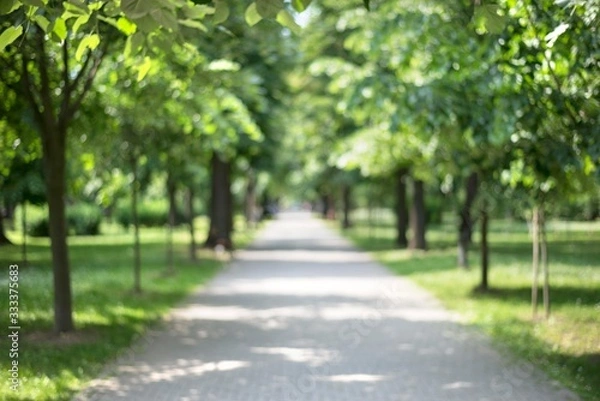 Fototapeta blurred path in the park