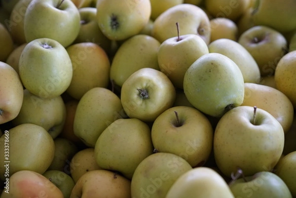 Obraz full frame apple