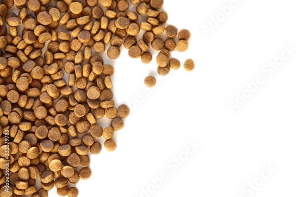 Obraz Top view of goodies on white isolated background for pets, cats and dogs, containing Cannabidiol CBD, medical cannabis compound used because of its medicinal properties, medical marijuana. Copy space