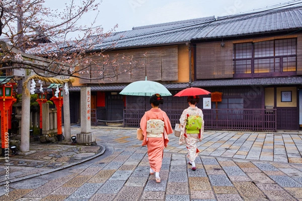 Fototapeta 雨の祇園白川