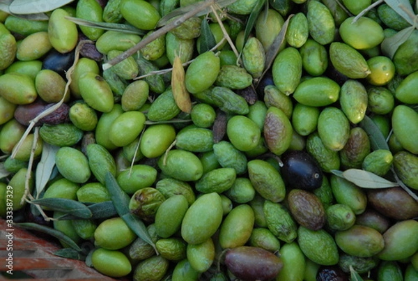 Obraz   OLIVES DE BOUCHE 
