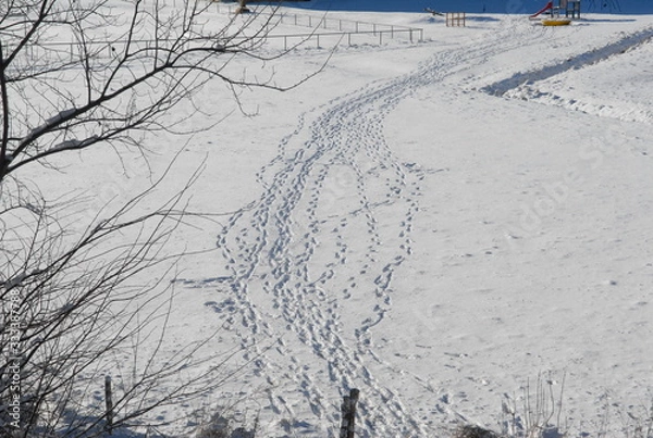 Obraz trace de pas dans la neige