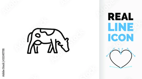 Obraz Vector editable real line icon of a side view cow or bull domestic animal grazing for meat and milk industry full body image of livestock farm as line art in a black stroke style on a white background