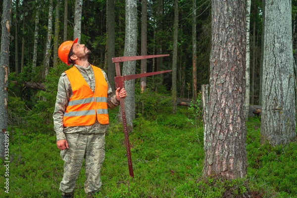 Fototapeta Forest worker performs taxation of forest stands. Forest officer in work clothes. Real people work. Forest certification.