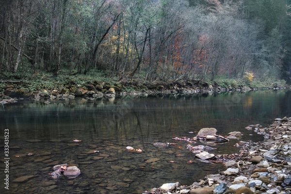Fototapeta Mountain river in autumn time. Rocky shore. Colorful forest