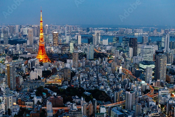 Obraz Tokyo aerial view