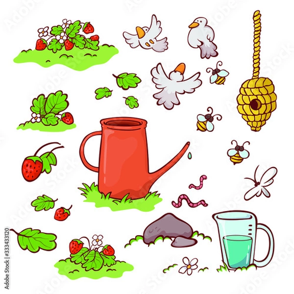 Fototapeta  set-objects-garden plants. vector illustration.