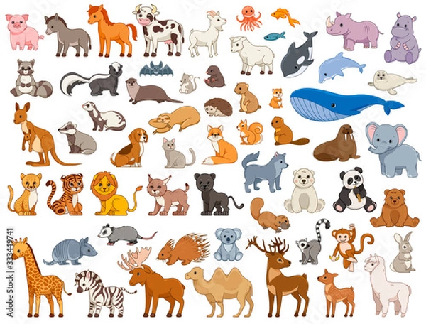 Fototapeta Illustrated series of various land and sea animals in colour. Vector Illustration