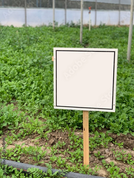 Fototapeta empty signboard in greenhouse