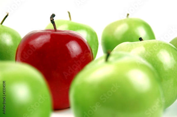 Obraz czerwony wśród zieleni