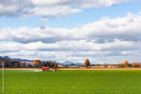 Fototapeta 日本の北海道東部・上士幌町付近、秋の風景