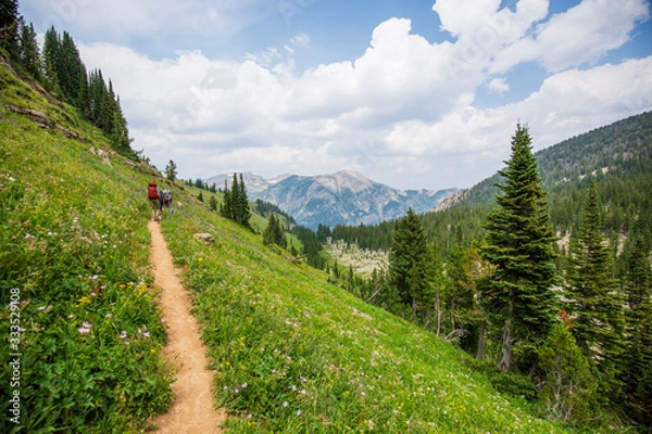 Obraz hiking on the mountainside