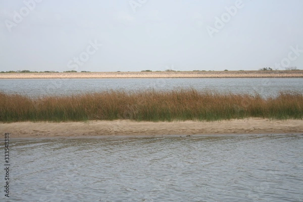 Fototapeta Beauty Of Nature