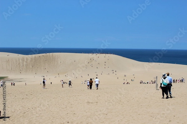 Fototapeta 青空の元の鳥取砂丘　tottori sand dune　国立公園