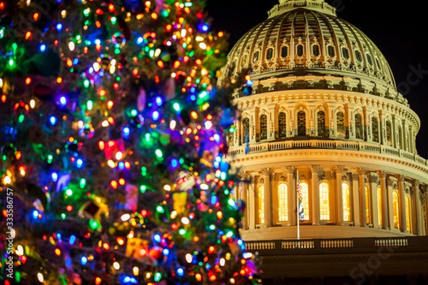 Fototapeta The United States Capitol Christmas Tree, otherwise known as "The People's Tree" shines bright in front of the US Capitol Building in Washington, DC.