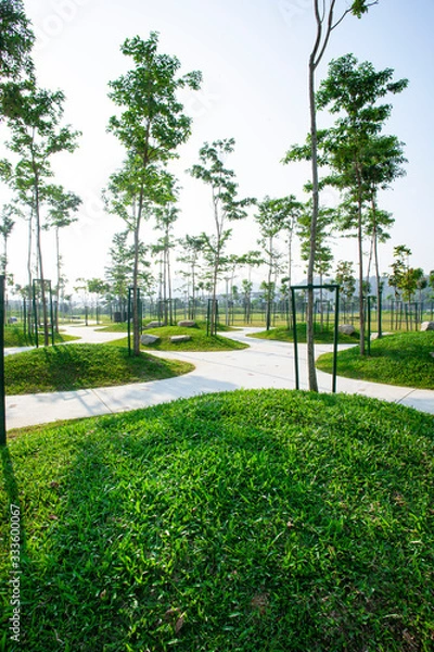 Fototapeta 여러 나무에 둘러싸인 잔디 공원 산책길