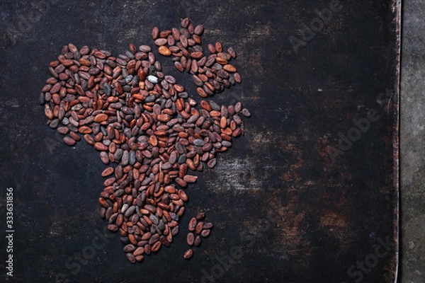 Obraz Africa with cocoa beans. Background from cocoa beans on a dark background.