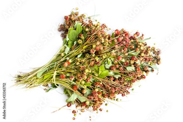 Fototapeta земляника