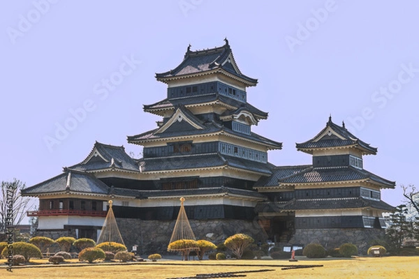 Obraz 春の松本城の風景