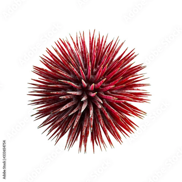 Fototapeta Corona virus icon. Coronavirus 2019-nCoV isolated on white background. China pathogen respiratory infection asian flu outbreak. 3d render.